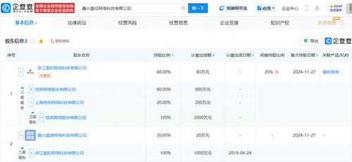愷英網絡嘉興布局 投資成立網絡科技公司，拓展信息技術咨詢服務新賽道